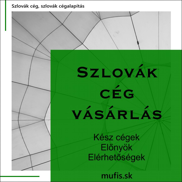 szlovak ceg vasarlas