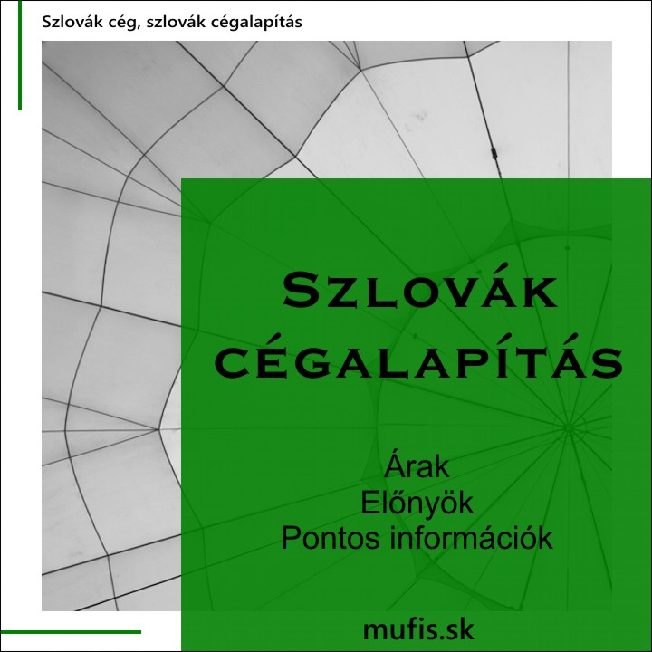 szlovak cegalapitas